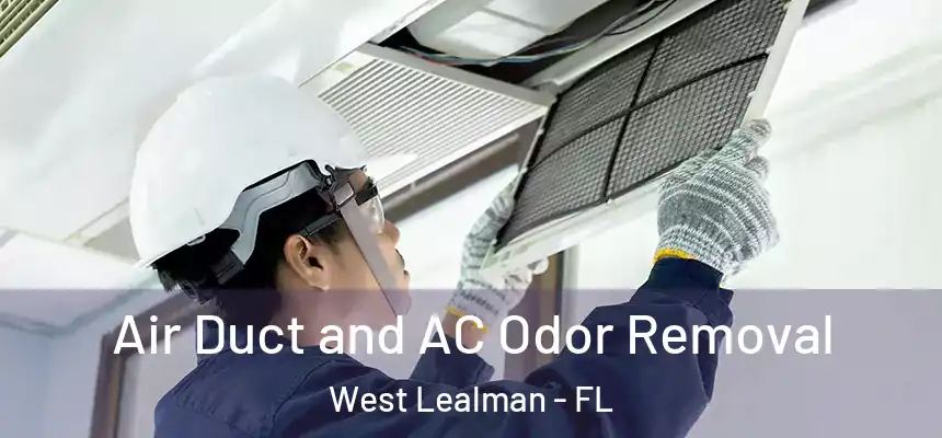 Air Duct and AC Odor Removal West Lealman - FL