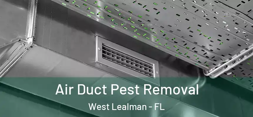 Air Duct Pest Removal West Lealman - FL