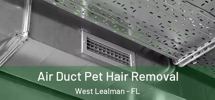  Air Duct Pet Hair Removal West Lealman - FL