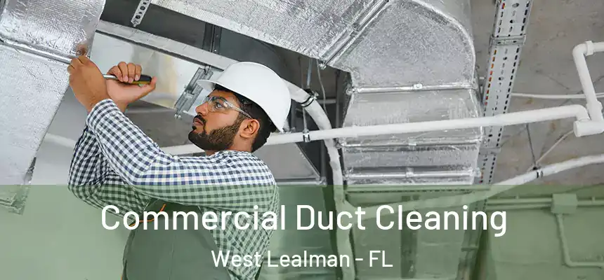 Commercial Duct Cleaning West Lealman - FL