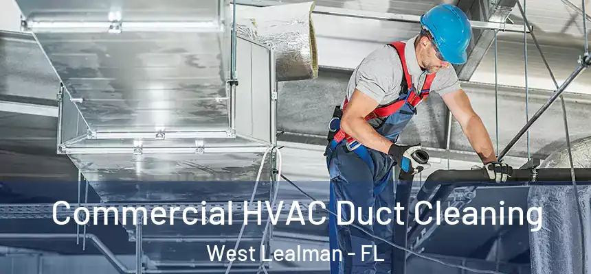 Commercial HVAC Duct Cleaning West Lealman - FL