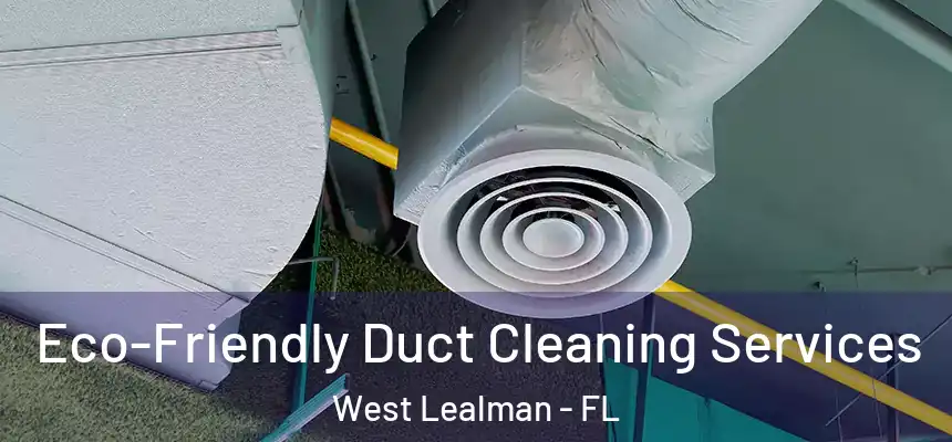 Eco-Friendly Duct Cleaning Services West Lealman - FL