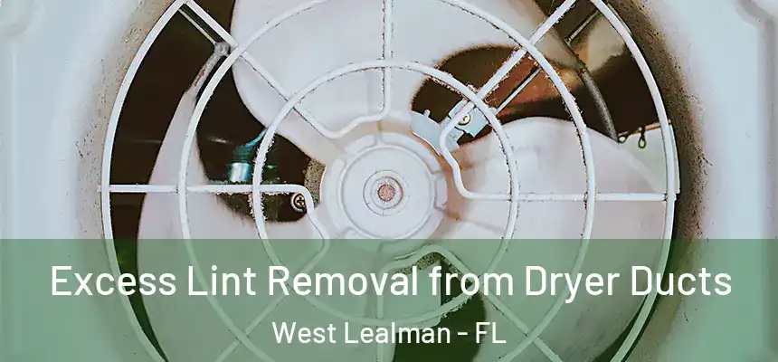 Excess Lint Removal from Dryer Ducts West Lealman - FL