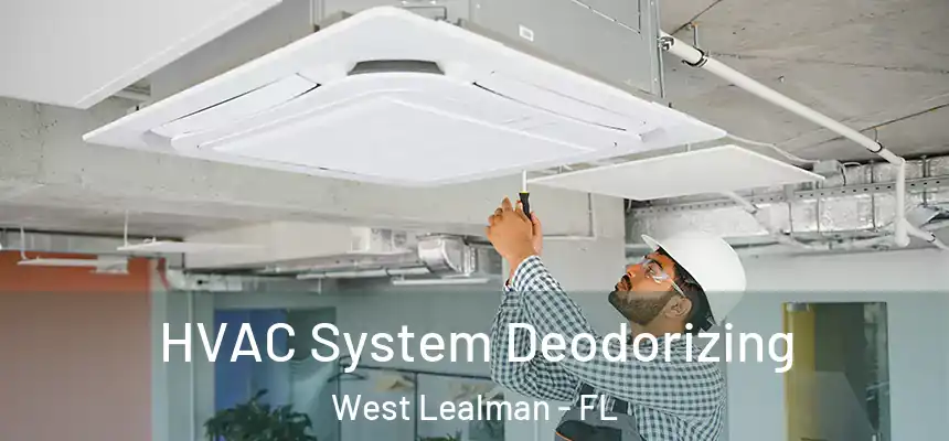 HVAC System Deodorizing West Lealman - FL