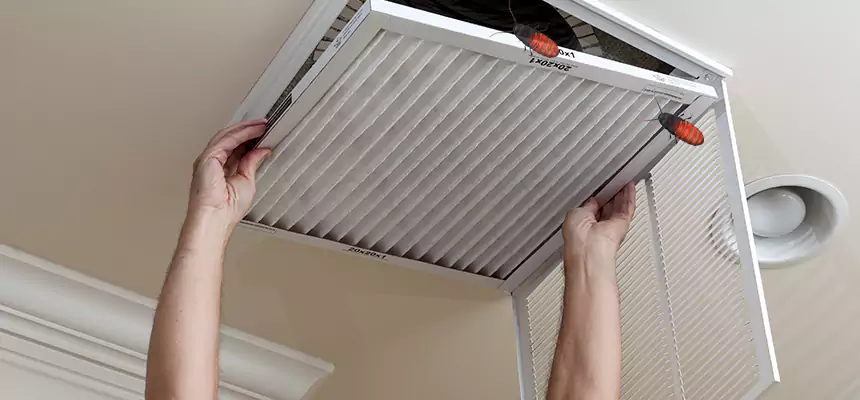 Preventive Cockroach-Proofing for Ducts in West Lealman