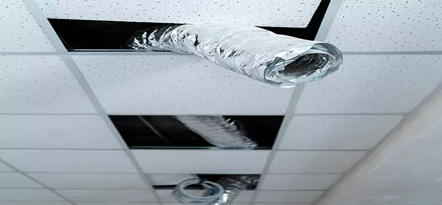 Affordable HVAC Sanitizing After Pest Removal in West Lealman