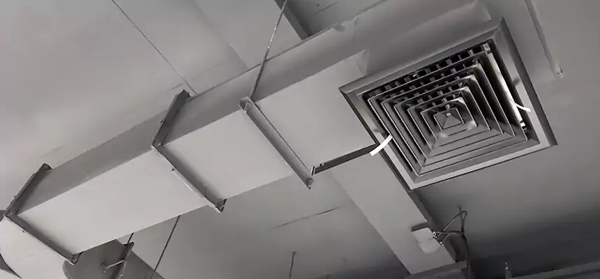Restorative Allergy Relief Vent Cleaning – Coil, Blower & Housing Detail in West Lealman