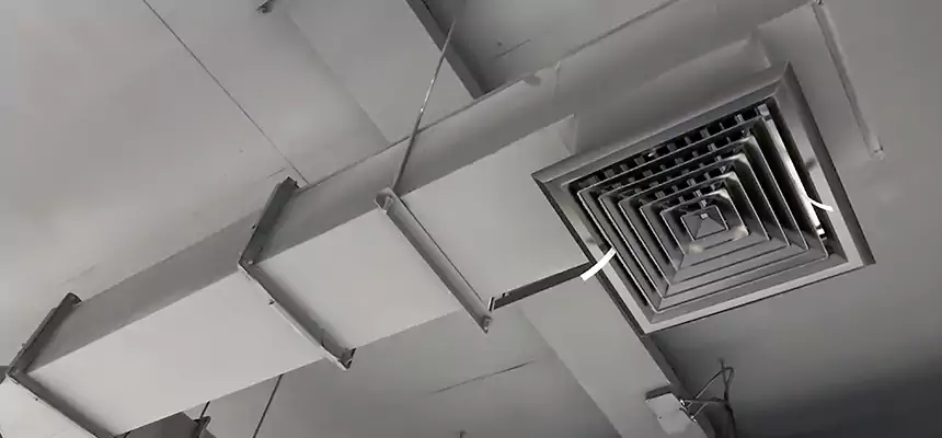 Our Rodent Droppings In Vents Services in West Lealman, FL