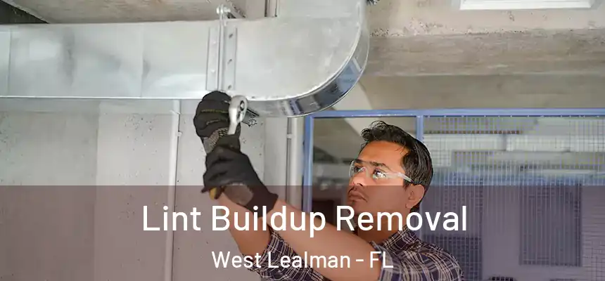 Lint Buildup Removal West Lealman - FL