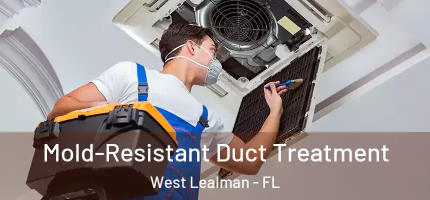 Mold-Resistant Duct Treatment West Lealman - FL