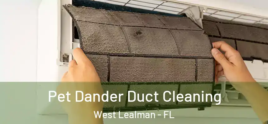 Pet Dander Duct Cleaning West Lealman - FL