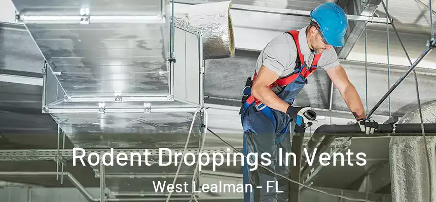 Rodent Droppings In Vents West Lealman - FL