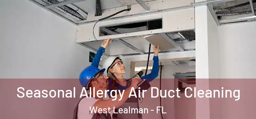Seasonal Allergy Air Duct Cleaning West Lealman - FL