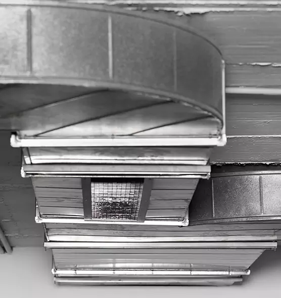 Professional Air Duct Pet Hair Removal in West Lealman, FL