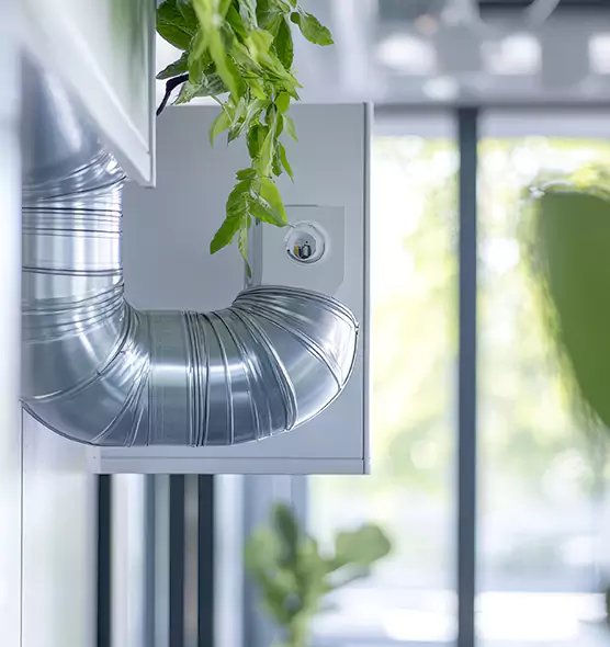Professional Eco-Safe Dryer Vent Cleaning in West Lealman, FL
