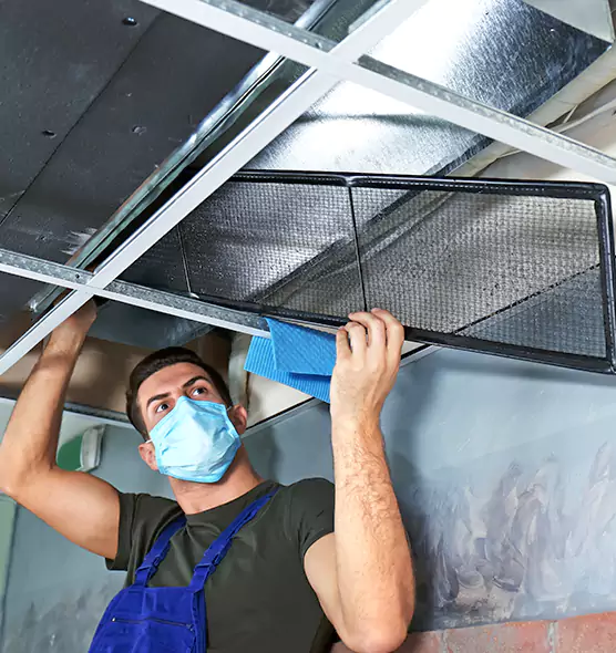 Professional Home Ventilation Cleaning in West Lealman, FL