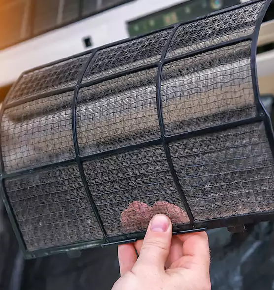 About Pet Dander Duct Cleaning in West Lealman, FL
